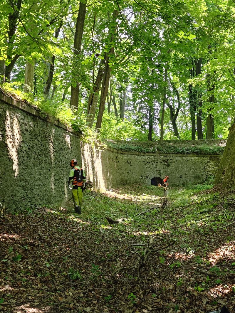 Skoszona trawa w zbliżeniu