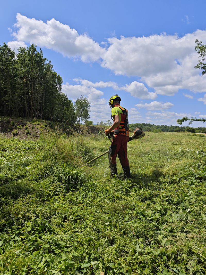 Sprzątanie działek