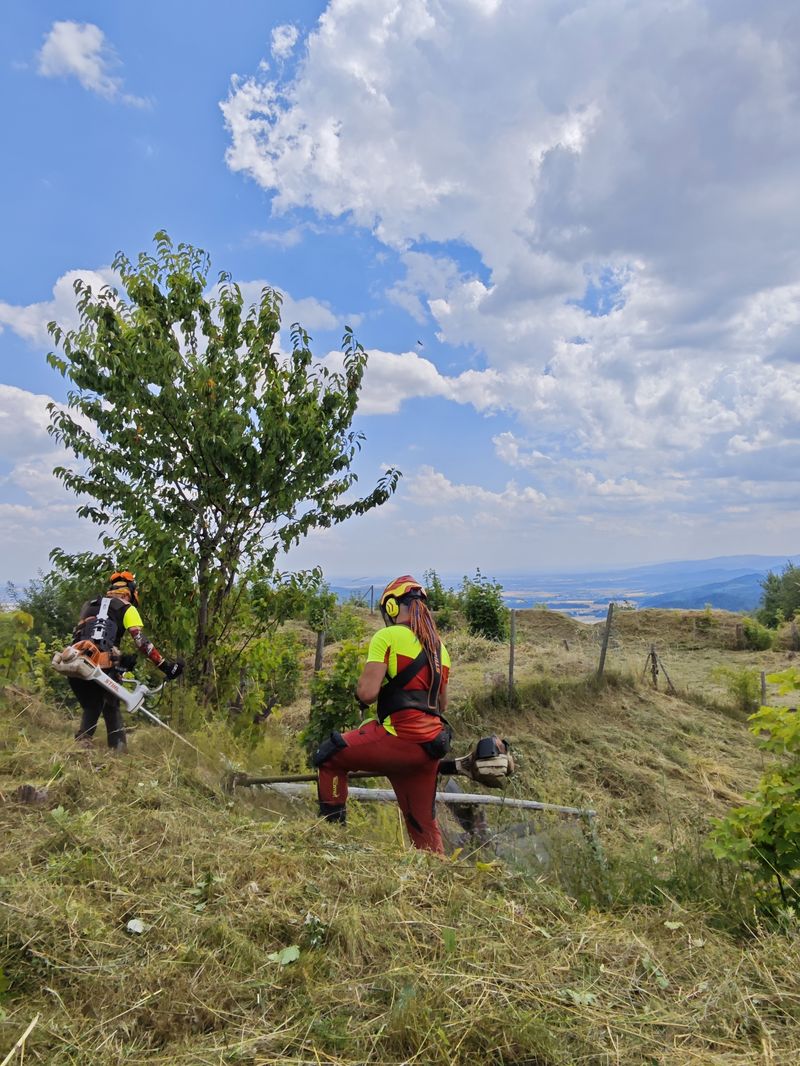 Czysta działka po sprzątaniu